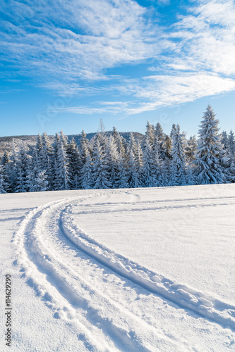Winter road in Beskid Sadecki Mountains on sunny day, Poland