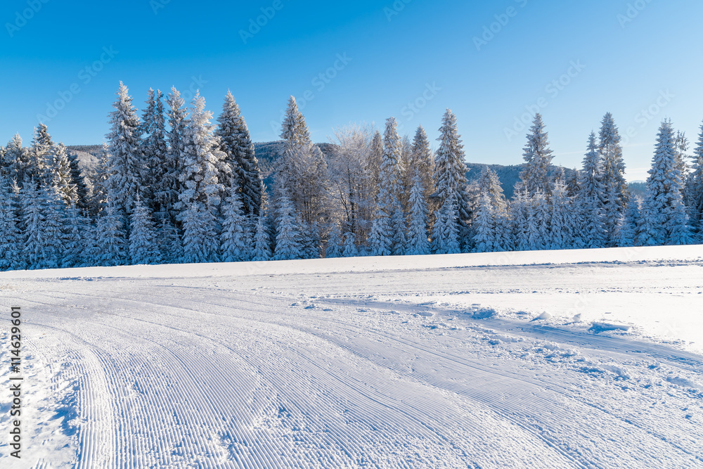 Groomed ski run in winter landscape of Beskid Sadecki Mountains on sunny day, Poland