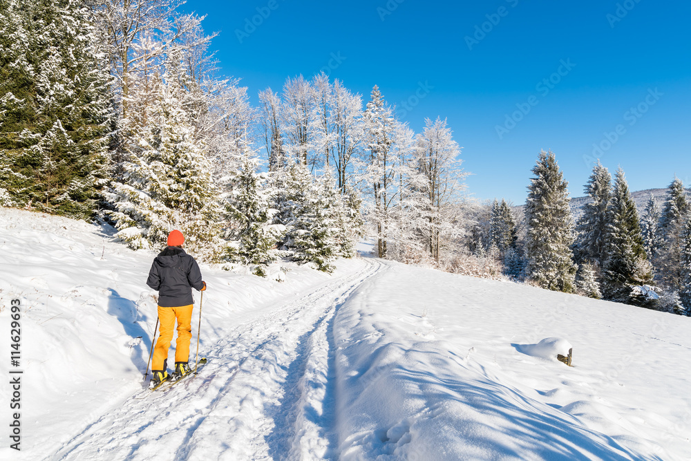 Skier on track in winter landscape of Beskid Sadecki Mountains, Poland