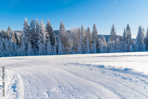 Groomed ski run in winter landscape of Beskid Sadecki Mountains on sunny day, Poland © pkazmierczak