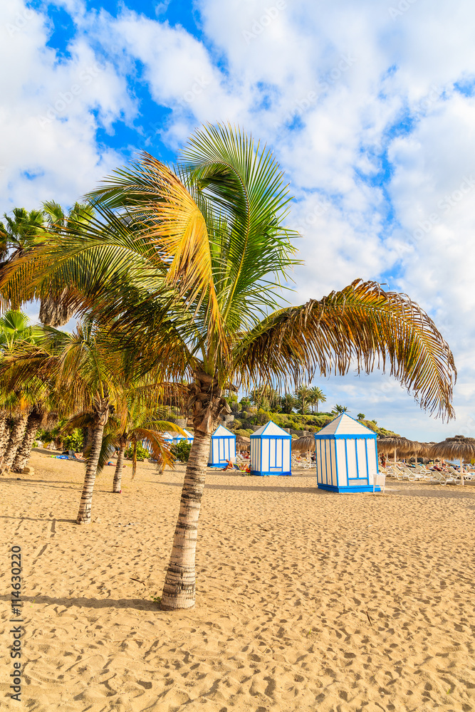Palm trees on exotic sandy El Duque beach in Costa Adeje town, Tenerife, Canary Islands, Spain