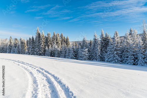 Winter road on sunny day in Beskid Sadecki Mountains, Poland