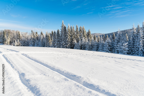 Ski track in winter landscape of Beskid Sadecki Mountains, Poland © pkazmierczak