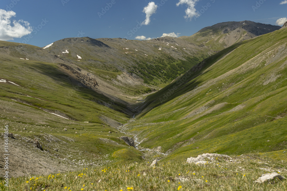beautiful summer alpine valley