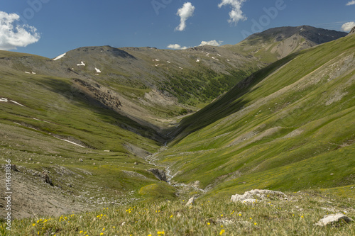 beautiful summer alpine valley