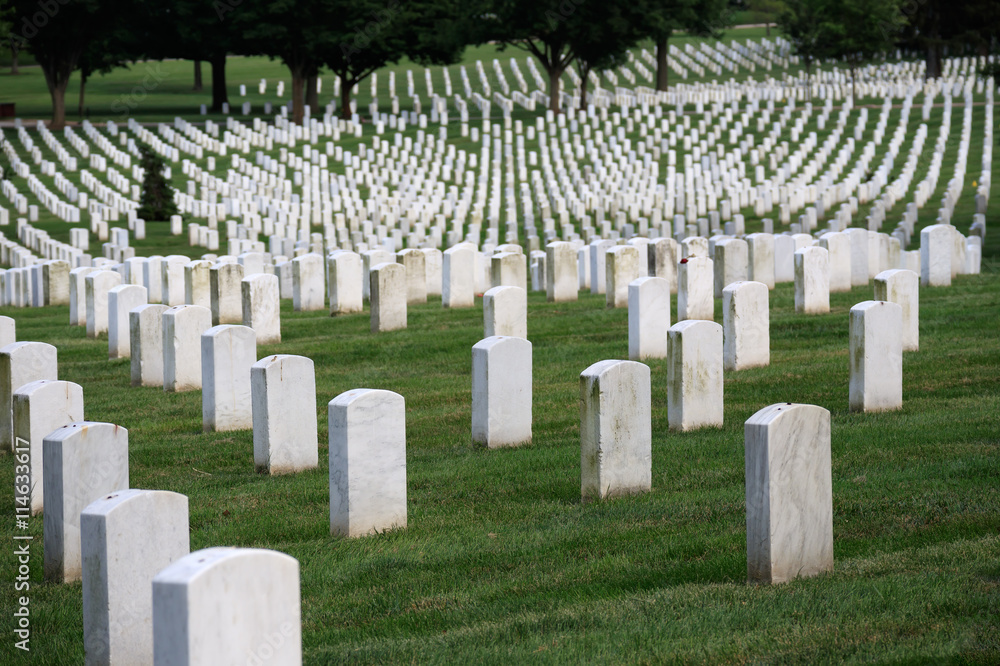 Naklejka premium Arlington National Cemetery