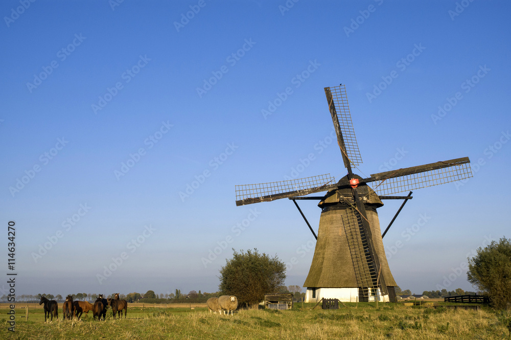 Oude Doornse mill Oude Doornse mill