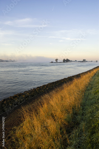 Mist above the river Merwede