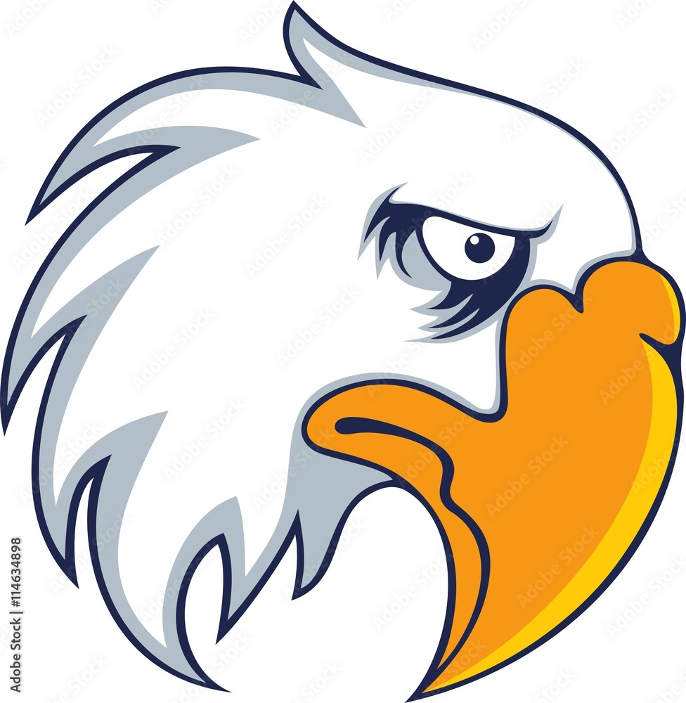 Bold eagle bird Bold eagle bird