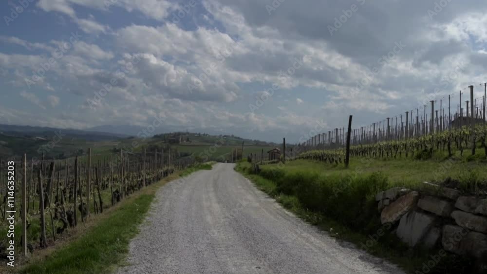 View of vineyards between La Morra and Barolo, Langhe hills, the famous italian wine area. View of vineyards between La Morra and Barolo, Langhe hills, the famous italian wine area.