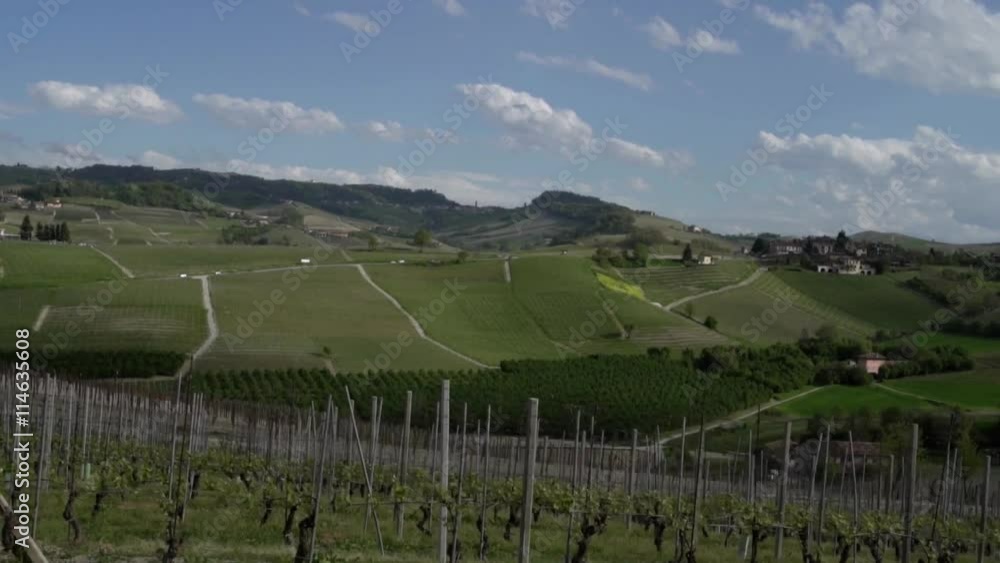 custom made wallpaper toronto digitalView of vineyards between La Morra and Barolo, Langhe hills, the famous italian wine area.