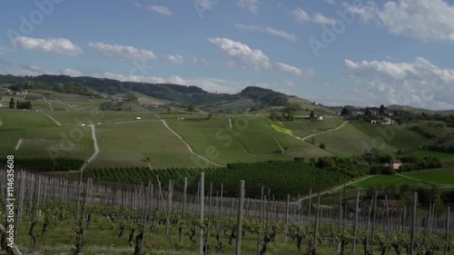 Wallpaper Mural View of vineyards between La Morra and Barolo, Langhe hills, the famous italian wine area. Torontodigital.ca