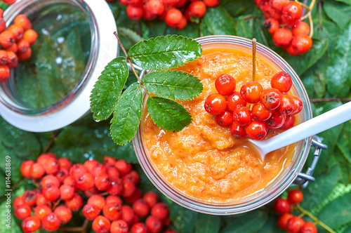 Jar with home made rowan berries jam