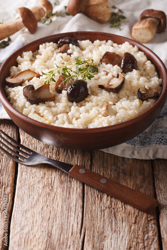 Italian rice with wild mushrooms close up on the table. vertical
