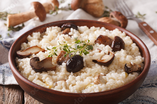 Italian risotto with wild mushrooms close up on the table. horizontal
