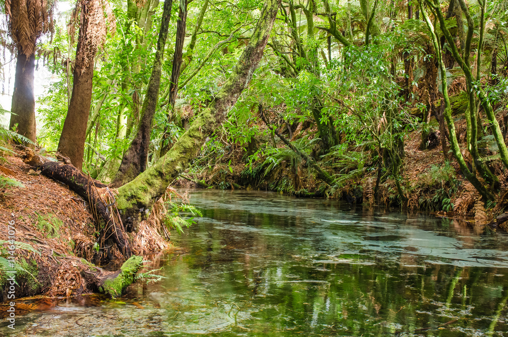 Te Puna-a-Hangurua in the Hamurana Springs, Rotorua New Zealand. There is around 4,500,00 litres of water flow out of the spring each hour. Te Puna-a-Hangurua in the Hamurana Springs, Rotorua New Zealand. There is around 4,500,00 litres of water flow out of the spring each hour.