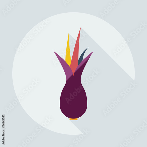 Flat modern design with shadow icons onion