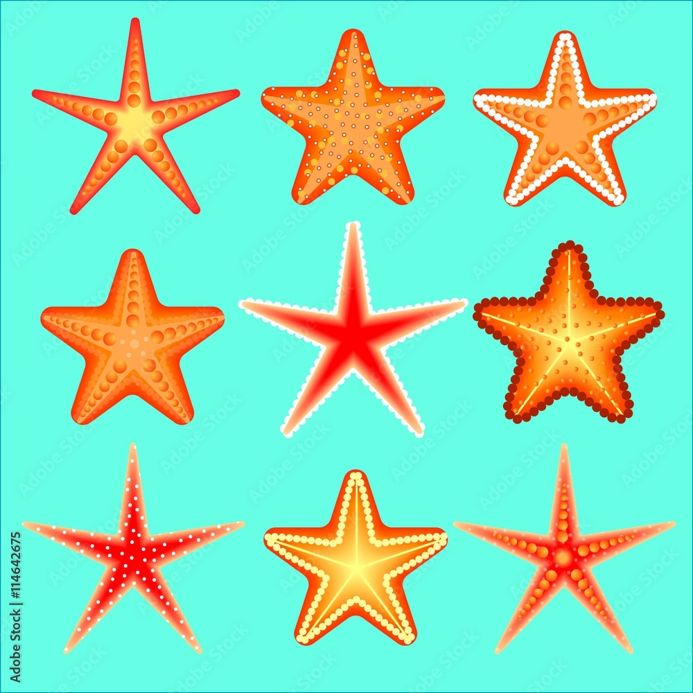 Fototapeta premium Starfish, a set of nine options