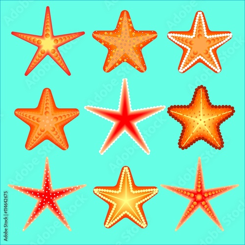 Starfish, a set of nine options