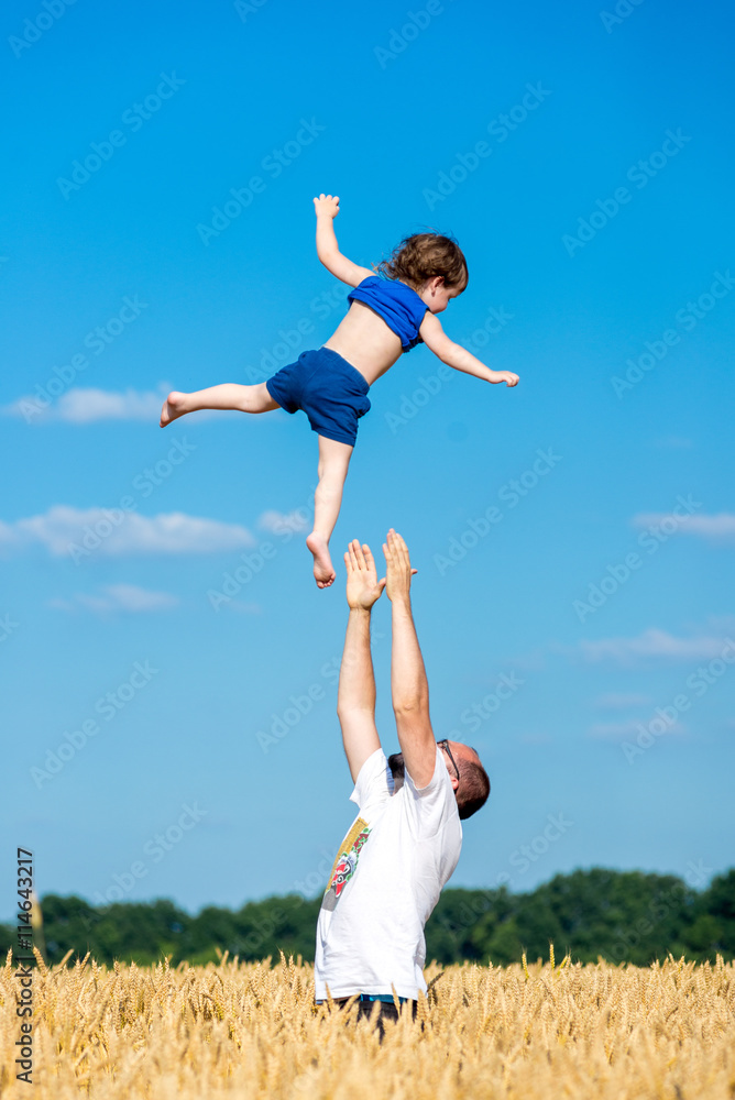 father tosses child in a wheat field father tosses child in a wheat field