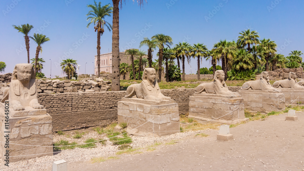 Avenue of the Sphinxes, Egypt