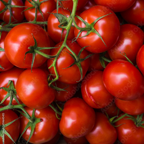 fresh tomatoes. red tomatoes background. Group of tomatoes