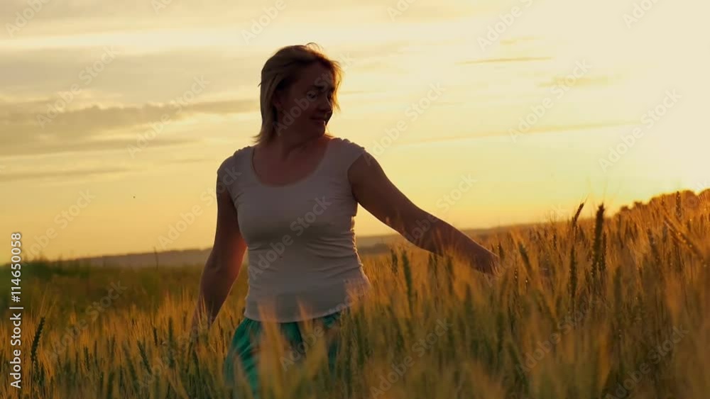 Girl shot of golden wheat in the hands of girls, in the sun Girl shot of golden wheat in the hands of girls, in the sun