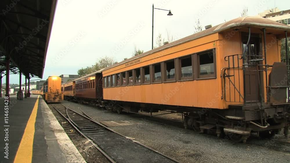 Train arriving at Dunedin Railway Station,New Zealand Train arriving at Dunedin Railway Station,New Zealand
