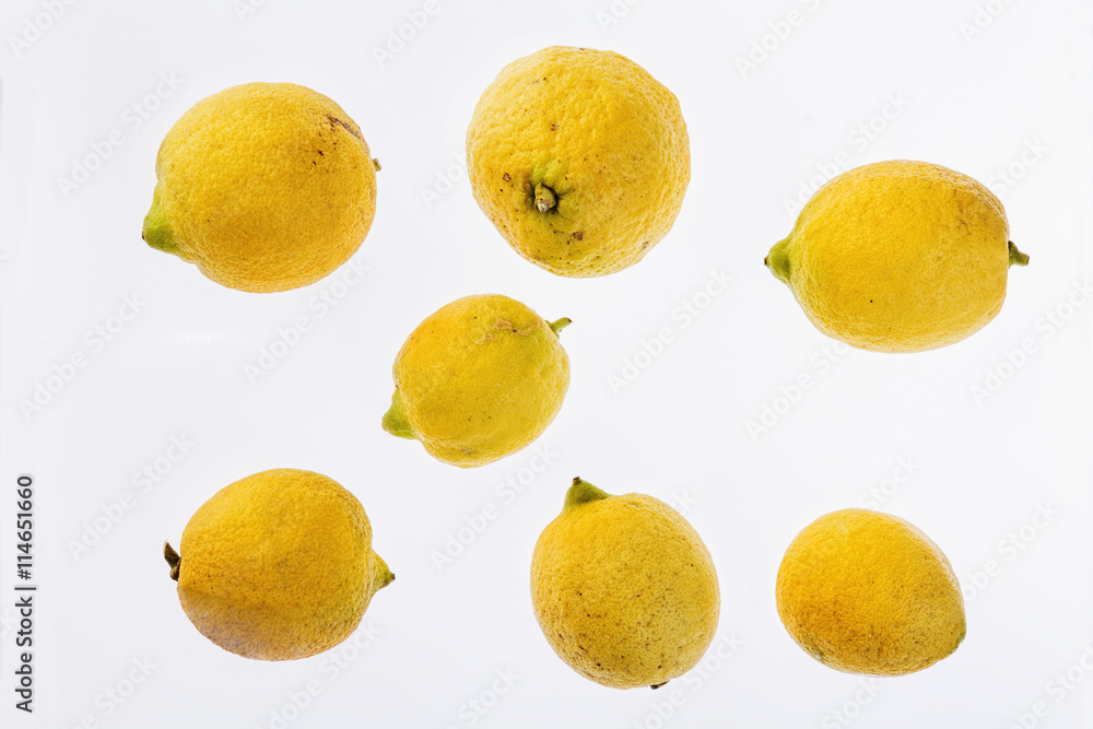 group of lemons group of lemons