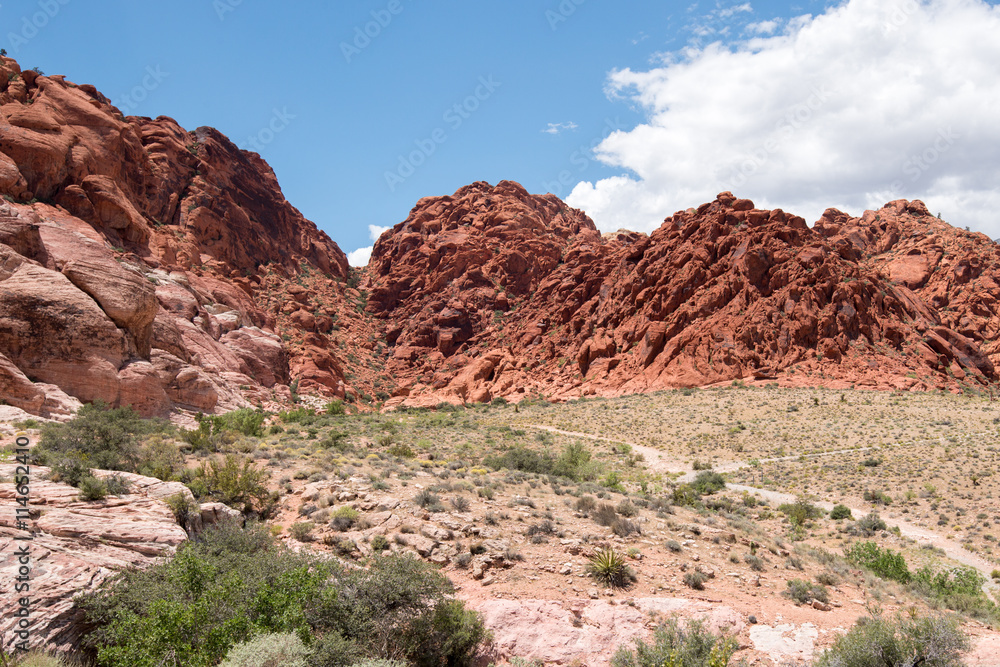 Calico Basin Red Springs at Red Rock Canyon Calico Basin Red Springs at Red Rock Canyon