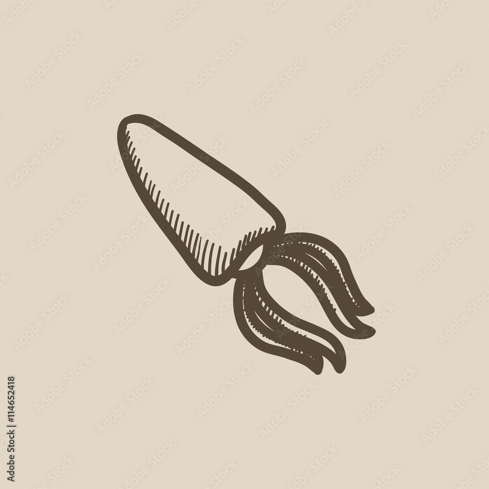 Squid sketch icon. Squid sketch icon.