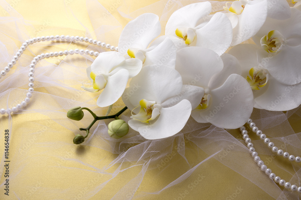 金色の背景とチュールと白い胡蝶蘭とパール Stock 写真 Adobe Stock