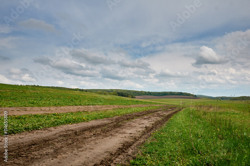 Summer landscape with grass, road and clouds