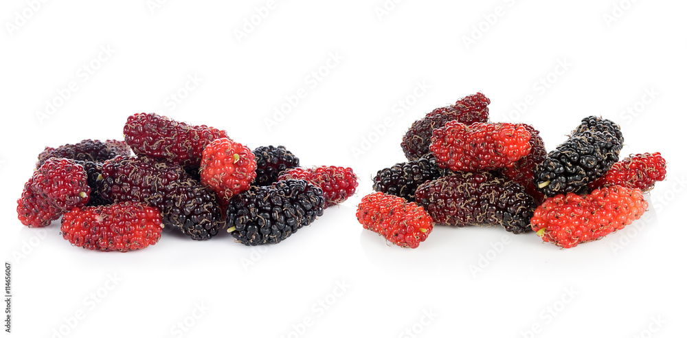 Mulberry fruit on the white background Mulberry fruit on the white background