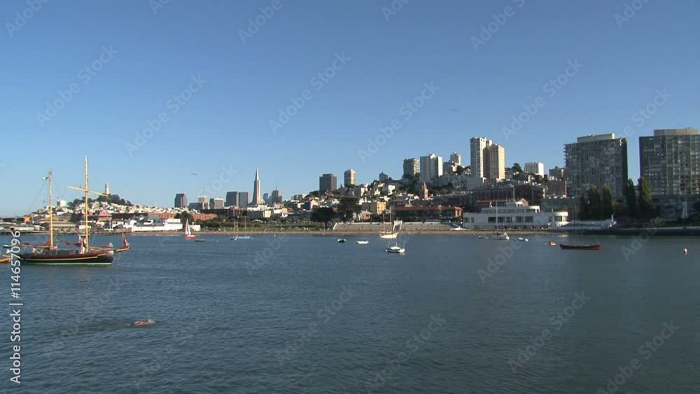 San Francisco skyline with a swimmer San Francisco skyline with a swimmer