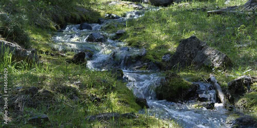Small mountain stream tumbling over rocky bed between grassy banks Small mountain stream tumbling over rocky bed between grassy banks