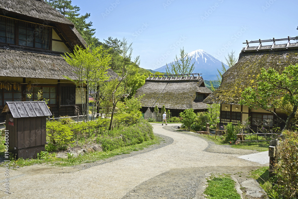 Fuji Mountain and an old village in Japan. Fuji Mountain and an old village in Japan.