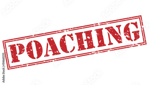 Tableau sur toile poaching red stamp on white background