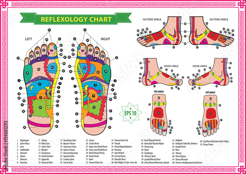Foot reflexology chart with accurate description of the corresponding internal and body parts. Vector illustration over white background, isolated. photo