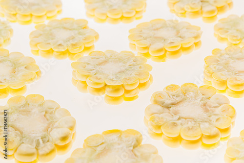 Slices of corn cobs on a white background. Pattern. Food background.