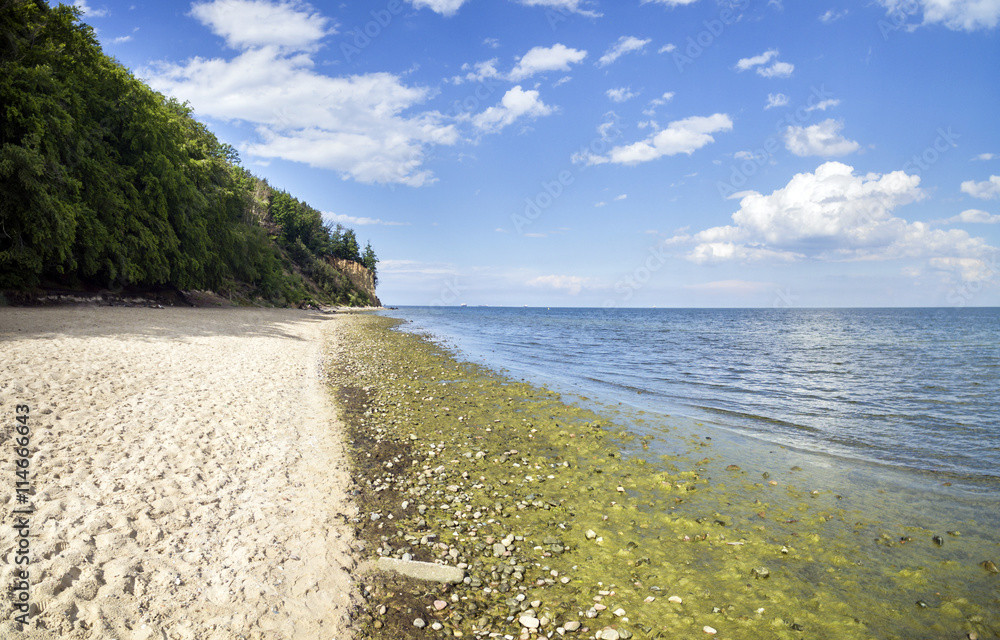 Obraz premium Baltic sea, cliff - Poland, Gdynia Orlowo