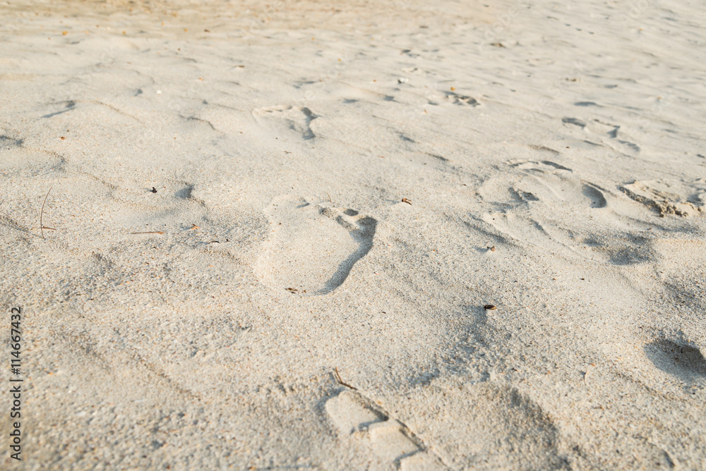 footprints on the beach footprints on the beach