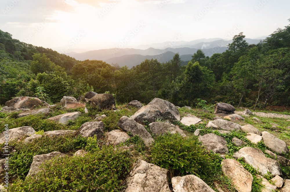 Landscape with rock in forest at sunset,landscape top view mount