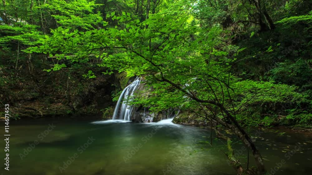 Waterfall Timelapse Waterfall Timelapse