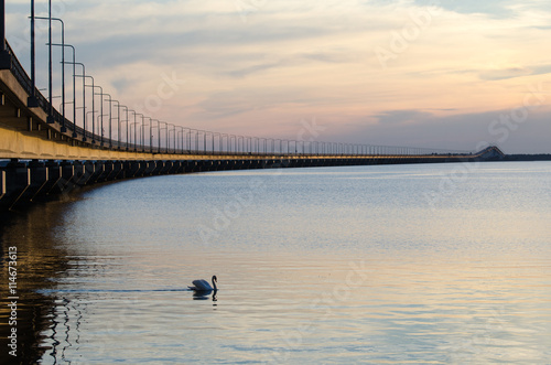 Calm evening by the bridge