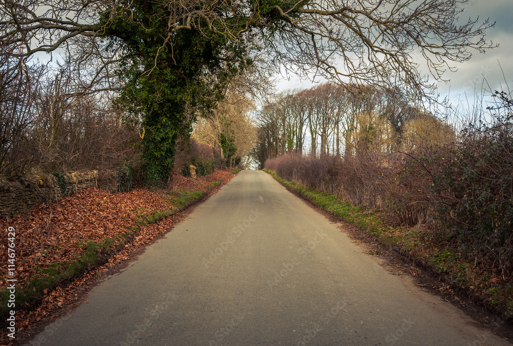 Road in rural Britain