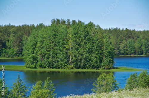 Wooded island on a lake
