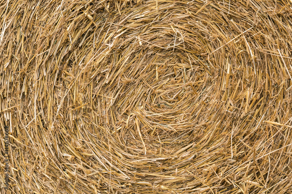 Background of yellow straw roll texture. Background of yellow straw roll texture.