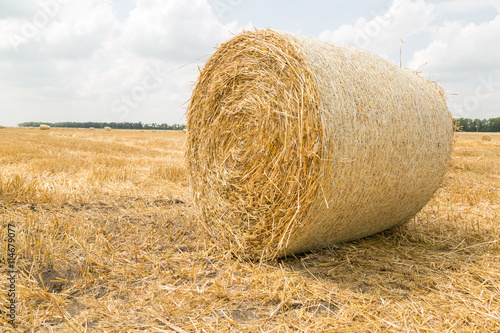 Straw roll in the countryside.