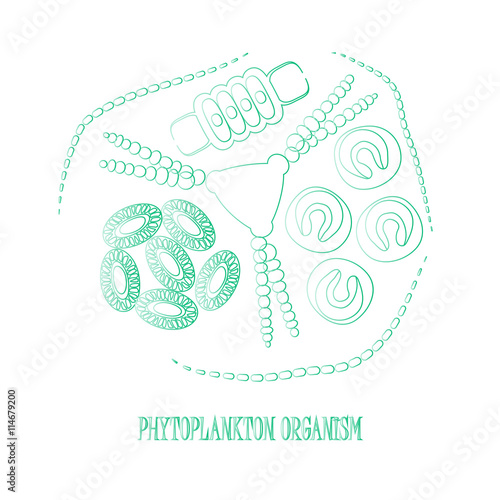 plankton phytoplankton outline